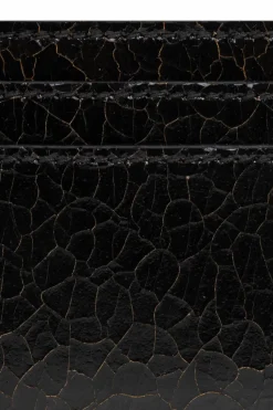 Alexander McQueen BLACK Card case
