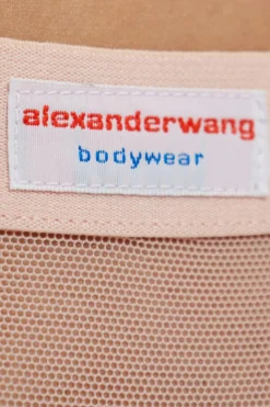 Alexander Wang PINK Transparent panties