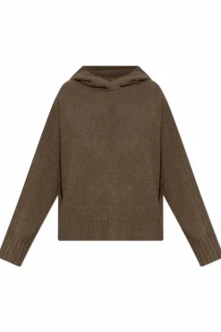 AllSaints BROWN Hooded sweater Ines