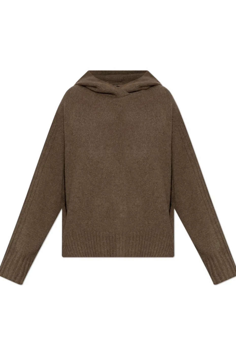AllSaints BROWN Hooded sweater Ines