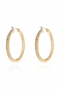 AllSaints GOLD Round earrings