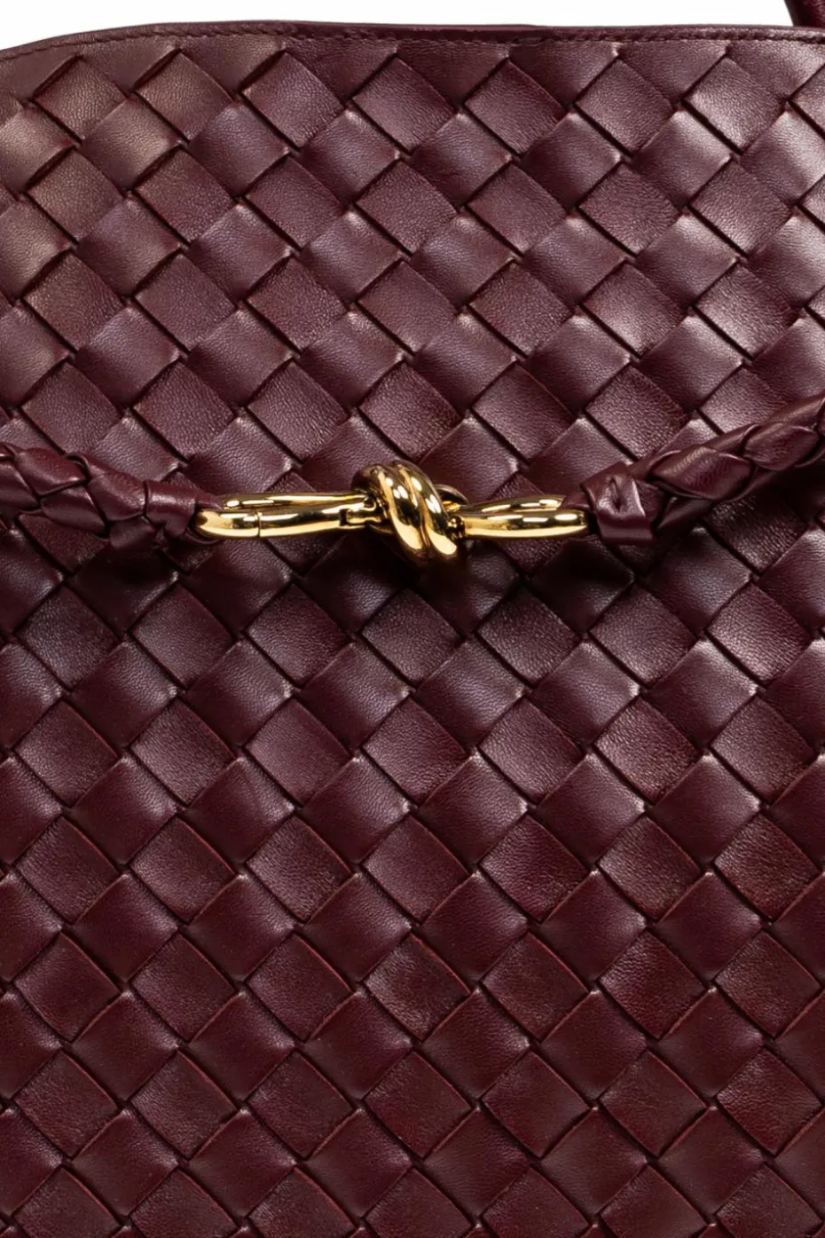 Bottega Veneta BURGUNDY Handbag Andiamo Large