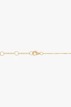 Bottega Veneta GOLD Silver necklace
