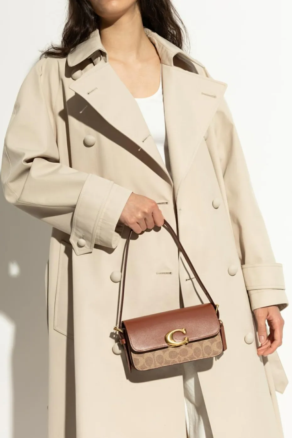 Coach BROWN Shoulder bag