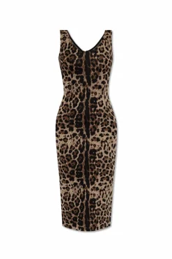 Dolce & Gabbana BROWN Dress with animal print