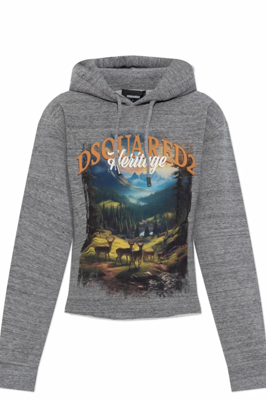 Dsquared2 GREY Sweatshirt with print