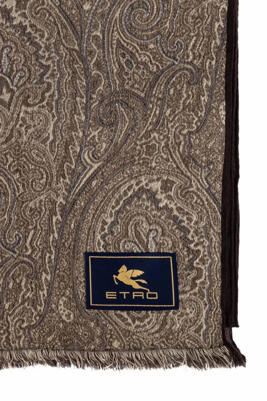 Etro BROWN Scarf with decorative pattern