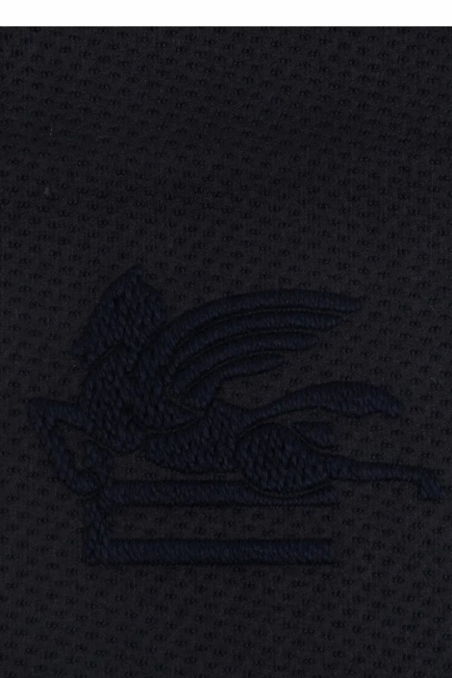Etro NAVY BLUE Scarf with logo