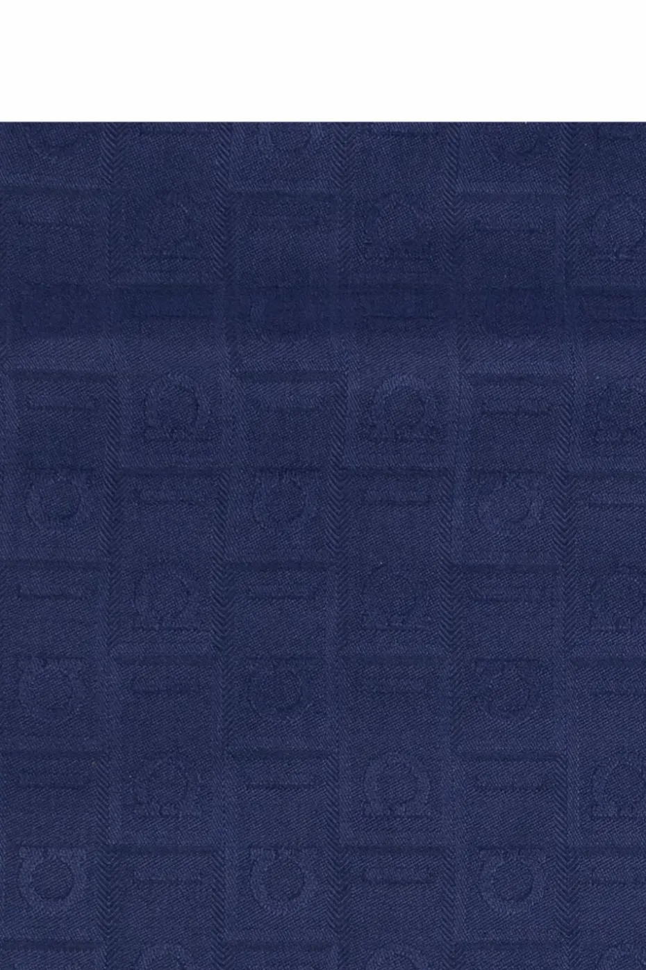 FERRAGAMO NAVY BLUE Scarf with monogram
