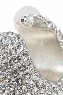 Isabel Marant SILVER Earrings with glass application