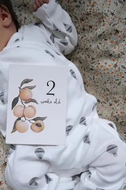 Konges Sløjd cream Set of 42 milestone cards
