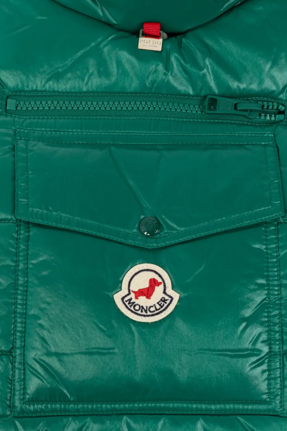 Moncler Genius GREEN Dog Vest