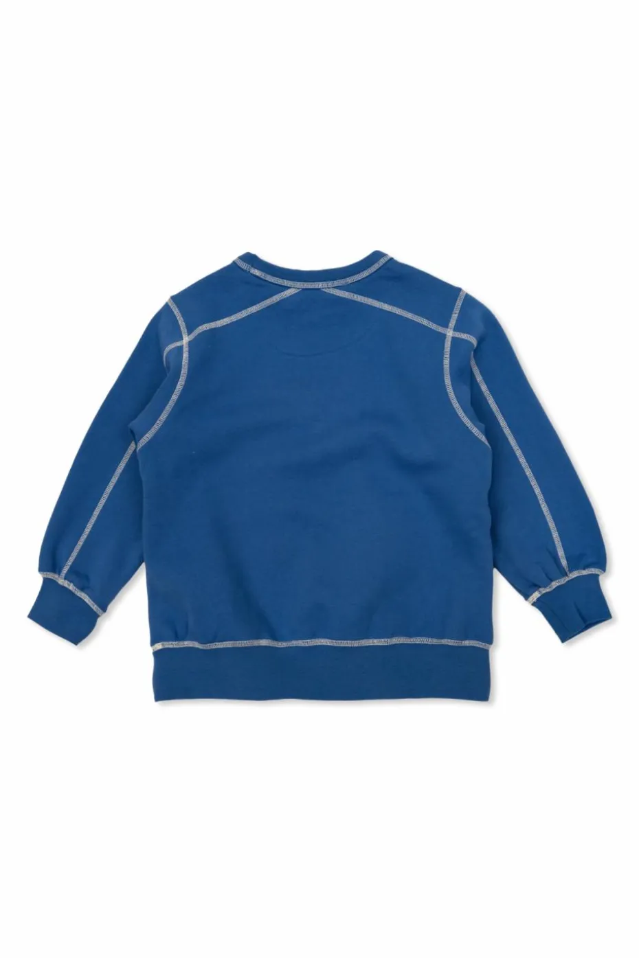 Tinycottons BLUE Sweatshirt with print
