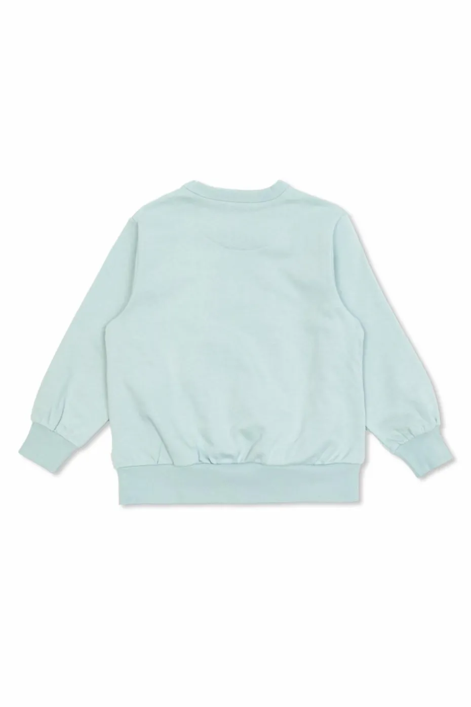Tinycottons light blue Sweatshirt with print