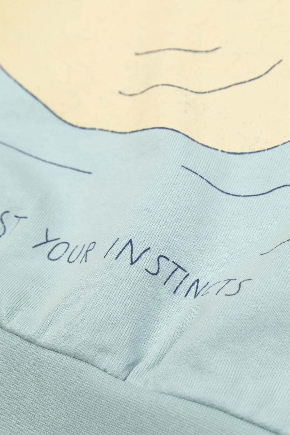 Tinycottons light blue Sweatshirt with print