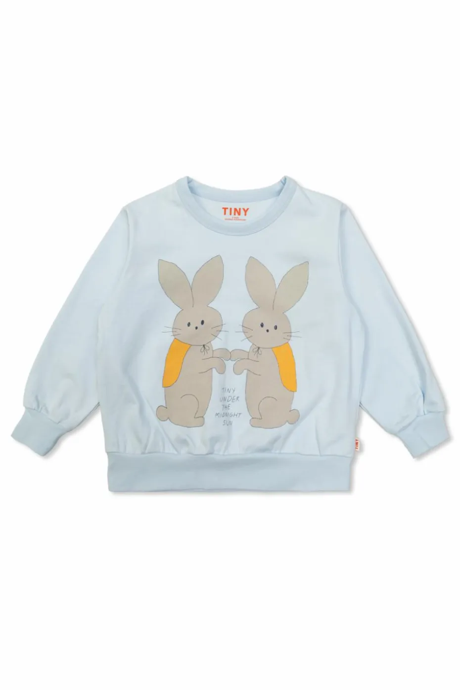 Tinycottons light blue Sweatshirt with print