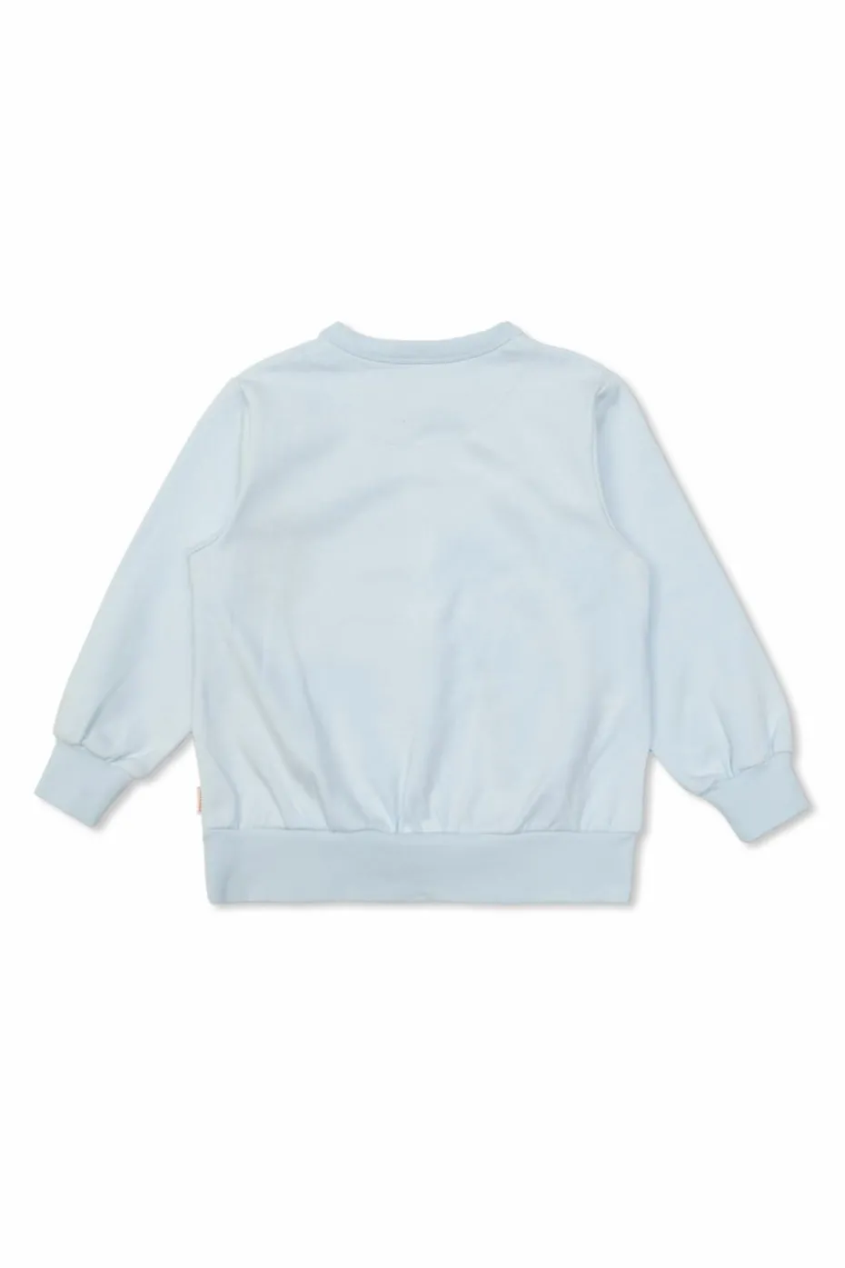 Tinycottons light blue Sweatshirt with print