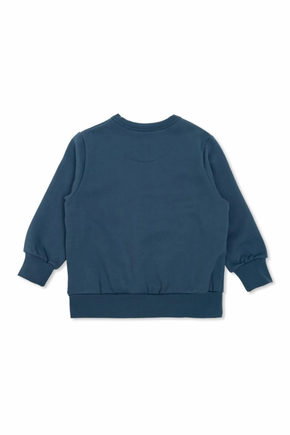 Tinycottons NAVY BLUE Sweatshirt with print