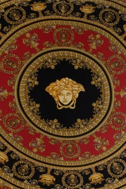 Versace Home MULTICOLOUR Patterned pillow