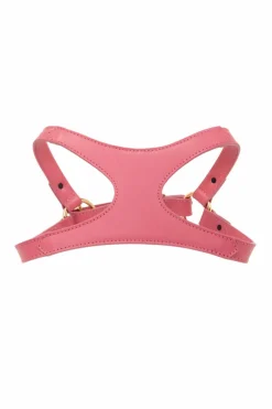 Versace Home PINK Dog Collar
