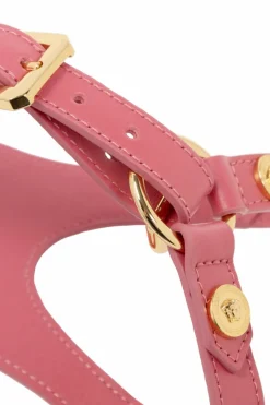 Versace Home PINK Dog Collar