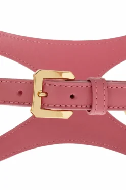 Versace Home PINK Dog Collar